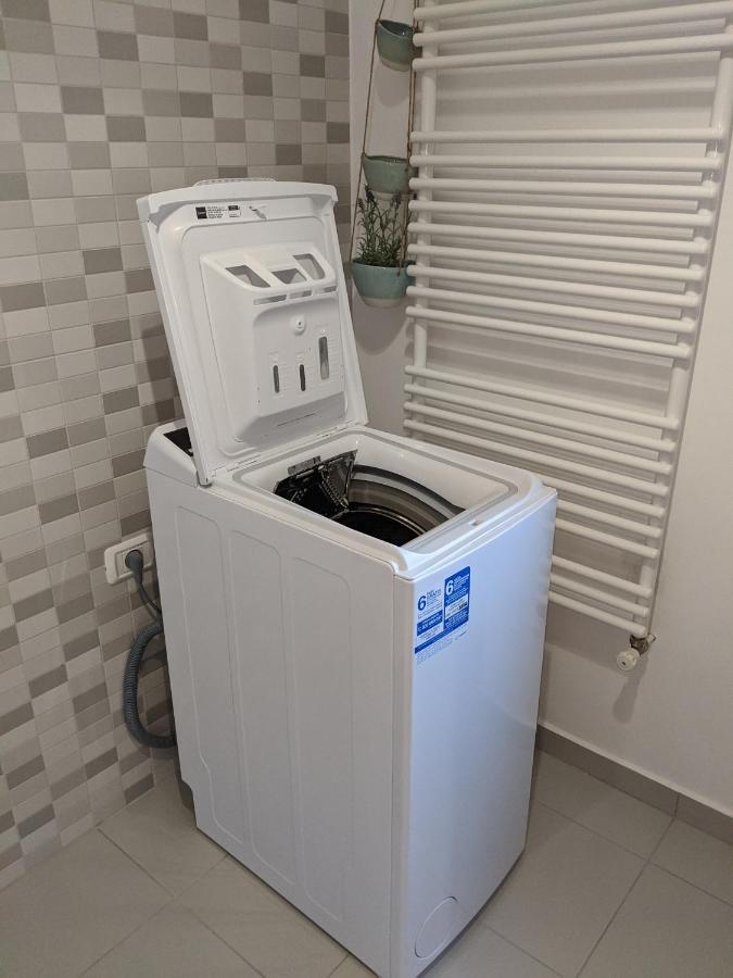 تيميشورا Cristian Apartment Near Old Town المظهر الخارجي الصورة