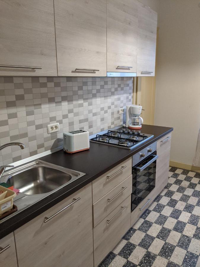 تيميشورا Cristian Apartment Near Old Town المظهر الخارجي الصورة