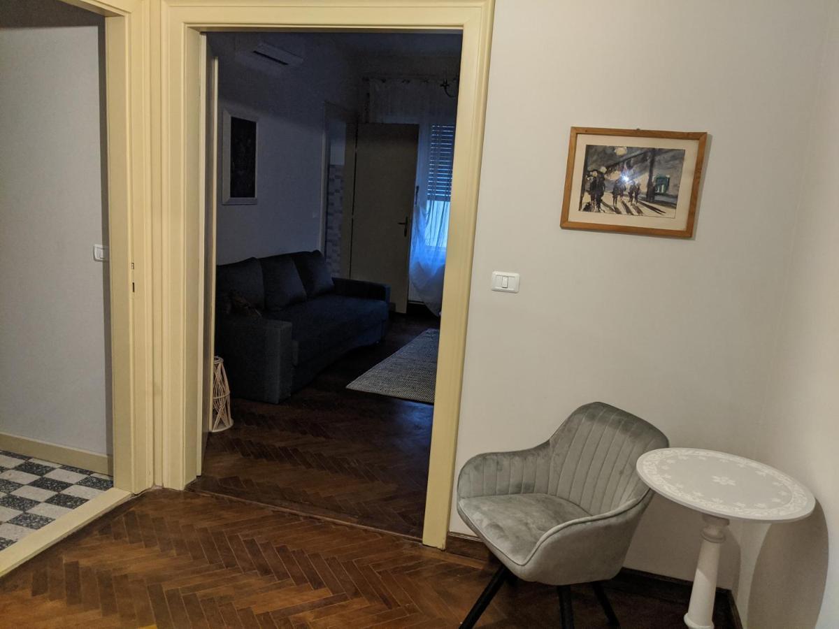 تيميشورا Cristian Apartment Near Old Town المظهر الخارجي الصورة