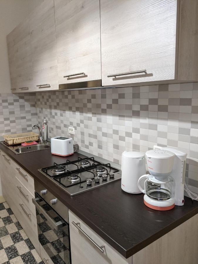 تيميشورا Cristian Apartment Near Old Town المظهر الخارجي الصورة