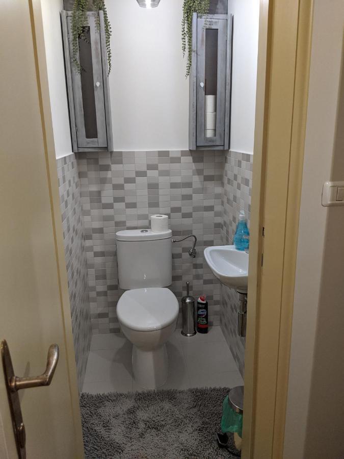 تيميشورا Cristian Apartment Near Old Town المظهر الخارجي الصورة