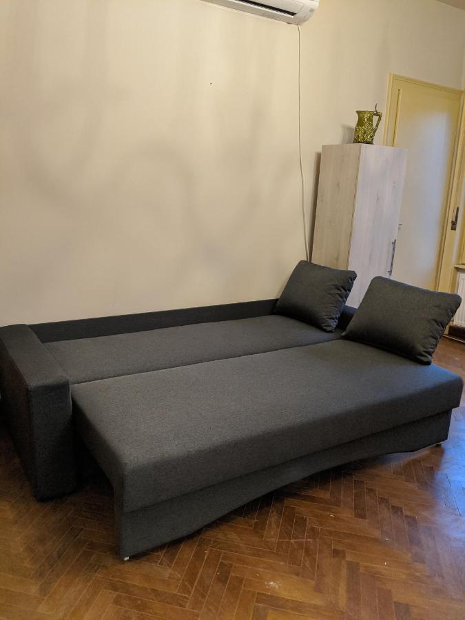 تيميشورا Cristian Apartment Near Old Town المظهر الخارجي الصورة