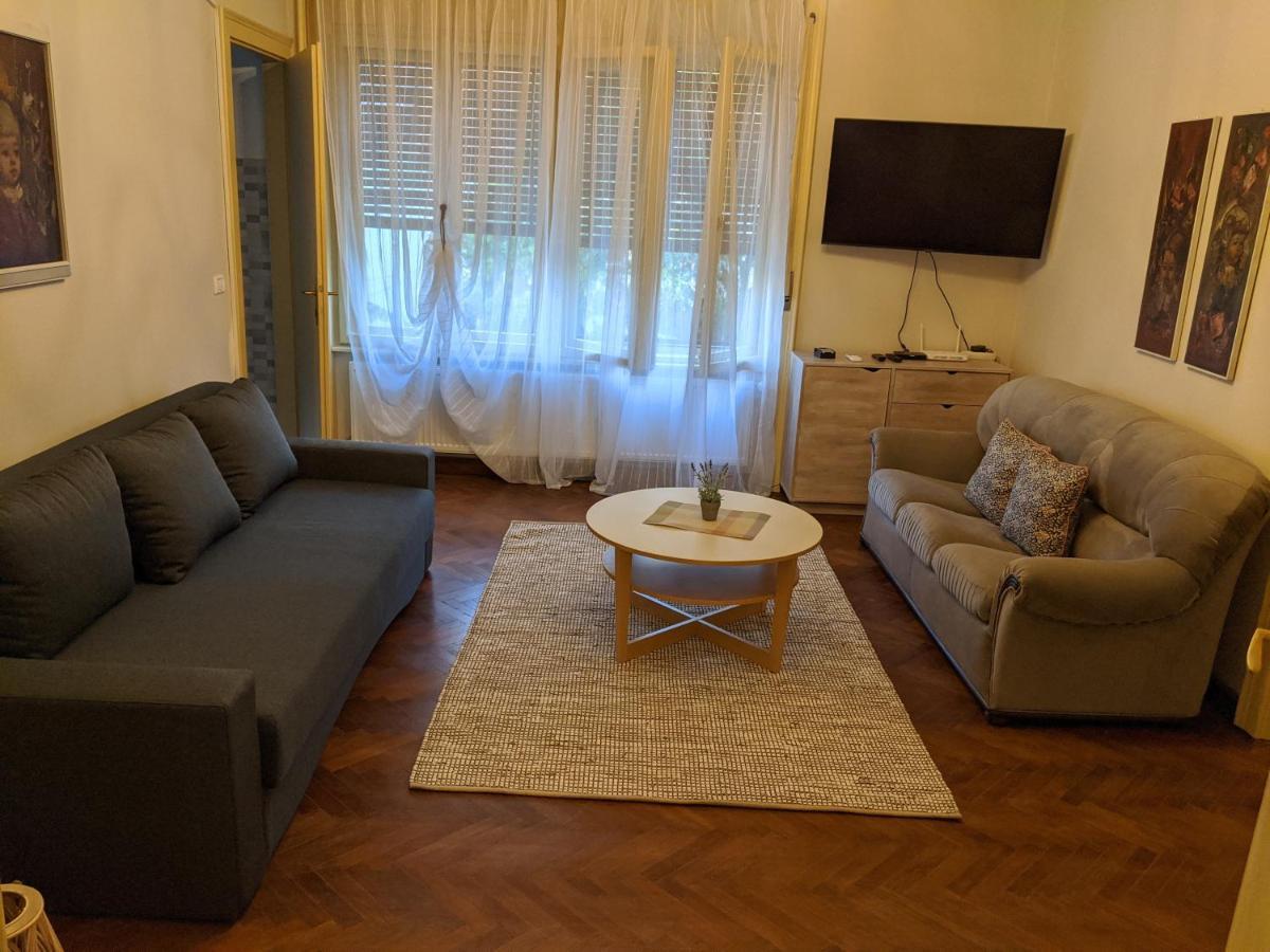تيميشورا Cristian Apartment Near Old Town المظهر الخارجي الصورة