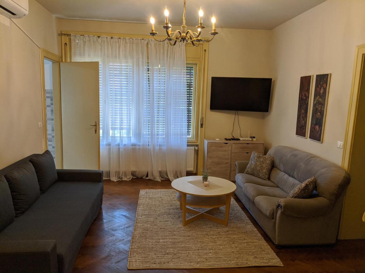 تيميشورا Cristian Apartment Near Old Town المظهر الخارجي الصورة